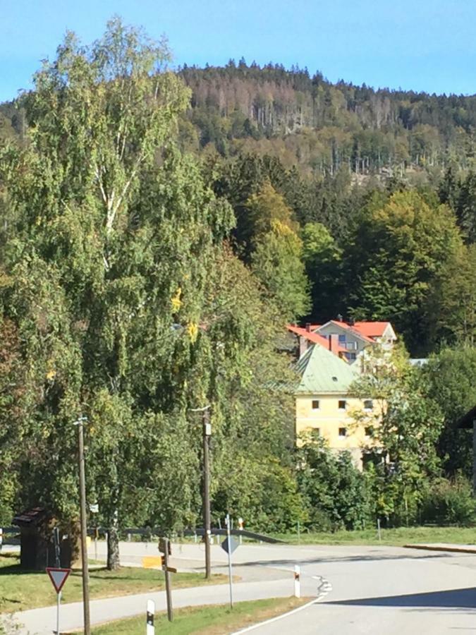 Das Alte Forsthaus Spiegelhütte Lindberg Exterior foto